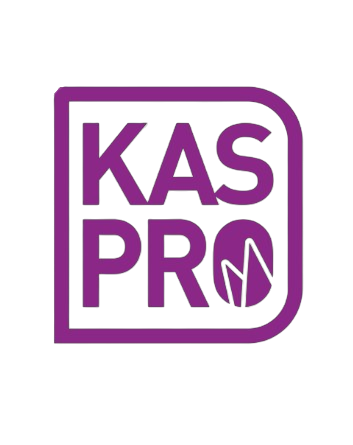 icon KasPro