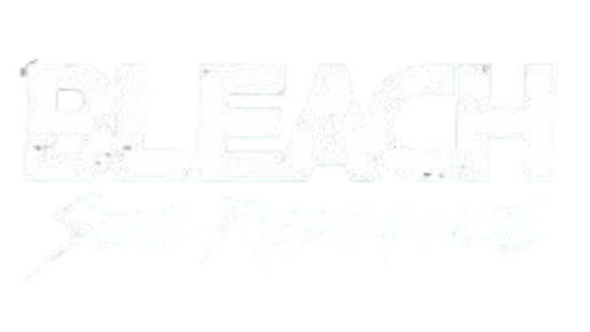 icon Bleach Soul Resonance